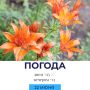 Погода на сегодня