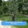 Уничтожаем дикорастущие наркосодержащие растения