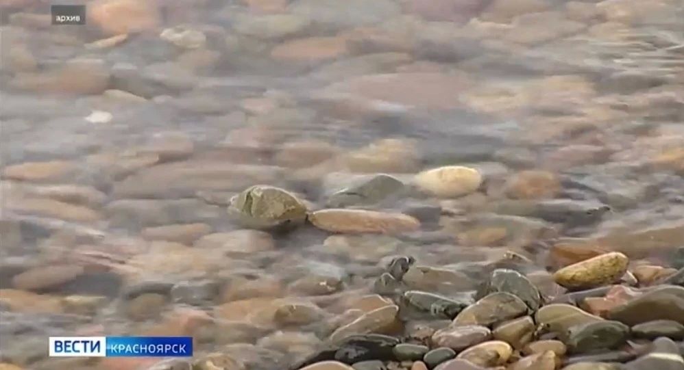 Трое жителей края утонули за прошедшую неделю