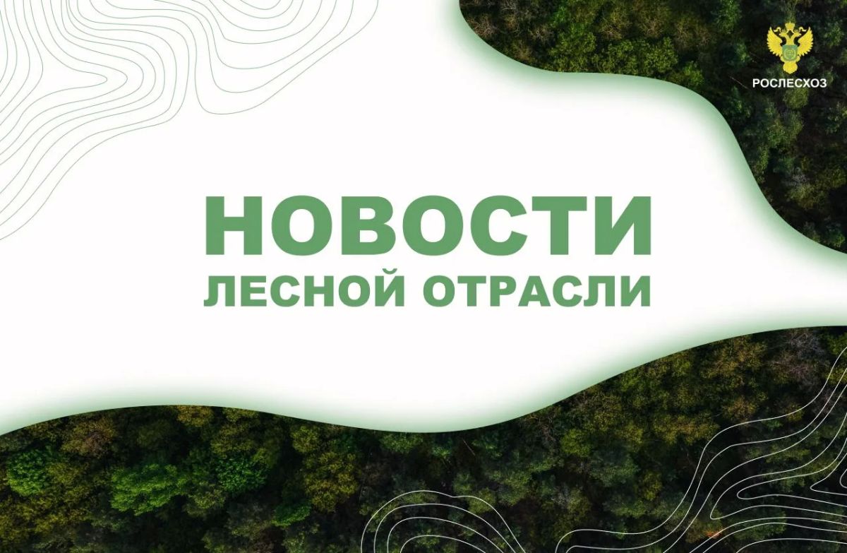360.ru: В Московской области представили новую систему управления лесами