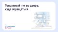 Что делать, если двор заполонил тополиный пух