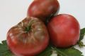 Томаты Арбузный: как вырастить необычные плоды с ярким вкусом