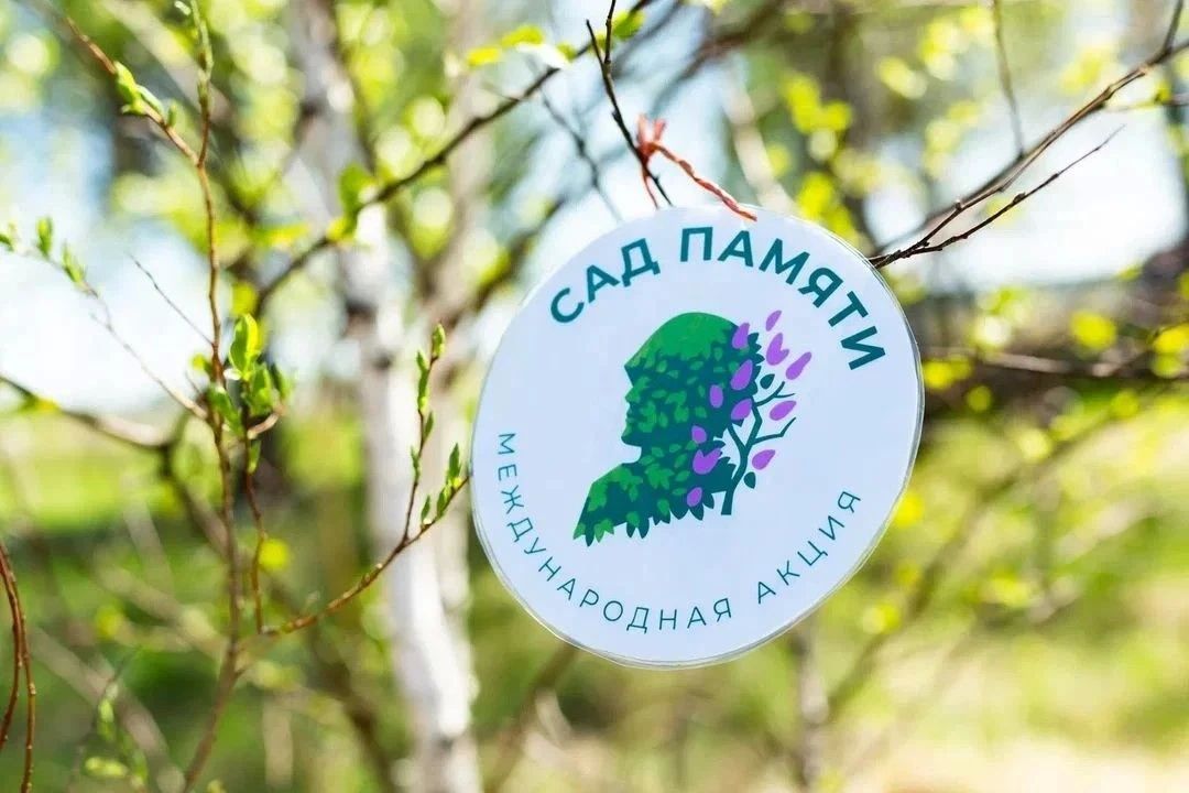 Более 20 тысяч деревьев и кустарников высадили в память о героях в рамках акции «Сад памяти» Более 20 тысяч деревьев и кустарников высадили в память о героях в рамках акции «Сад памяти»