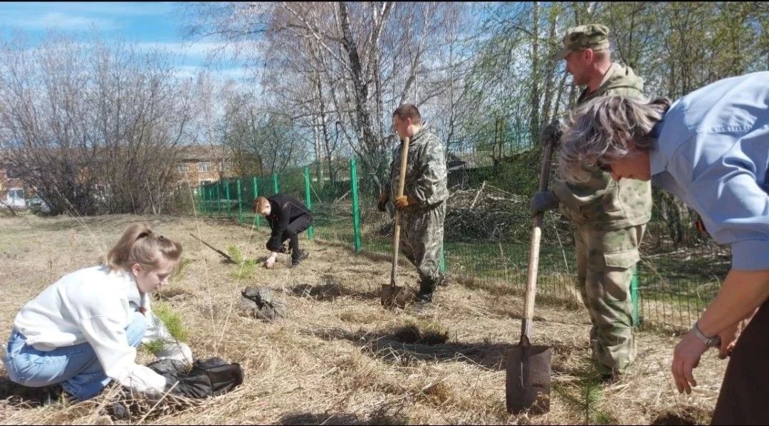 Более 20 тысяч деревьев и кустарников высадили в память о героях в рамках акции «Сад памяти» Более 20 тысяч деревьев и кустарников высадили в память о героях в рамках акции «Сад памяти»