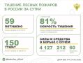 За прошедшие сутки в 17 регионах России потушили 59 лесных пожаров