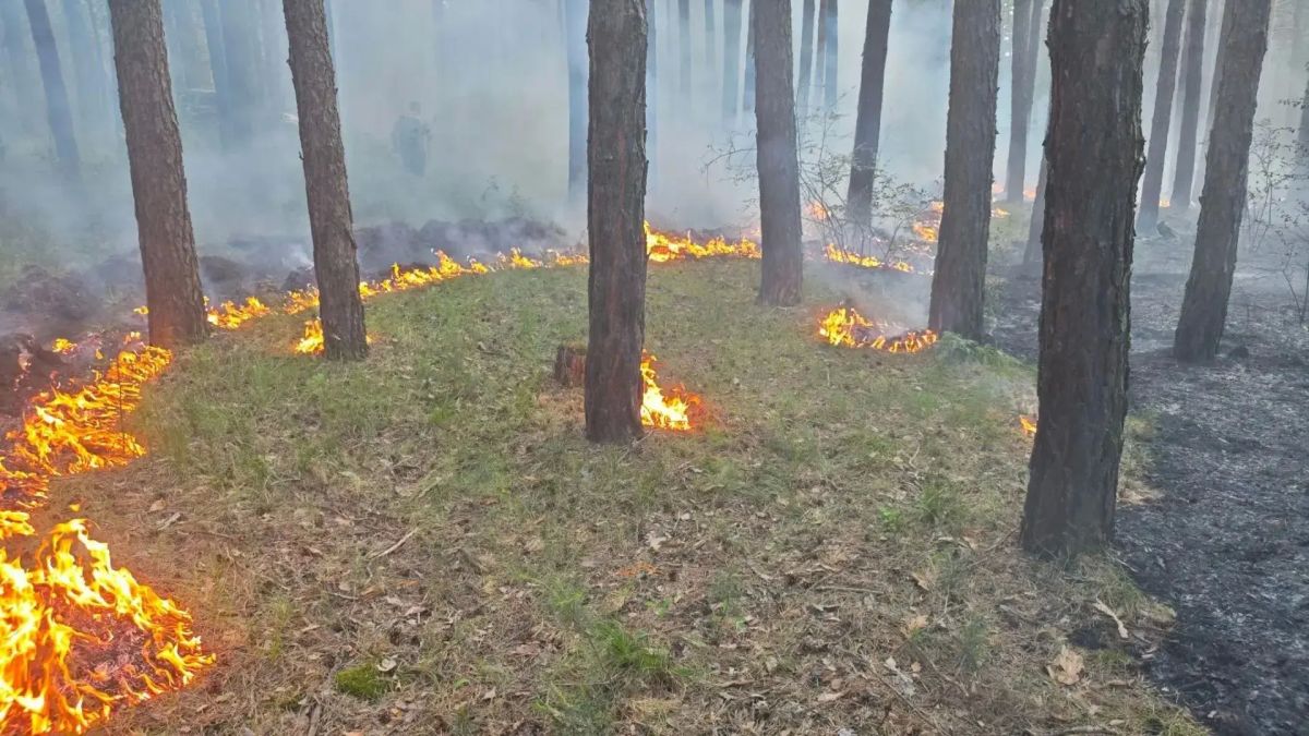 В окрестностях села Селиваниха пожарные Минусинска потушили лесной пожар