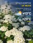 ������ �� �������. ���� +29 ��� � MAX | Telegram | �� | ����