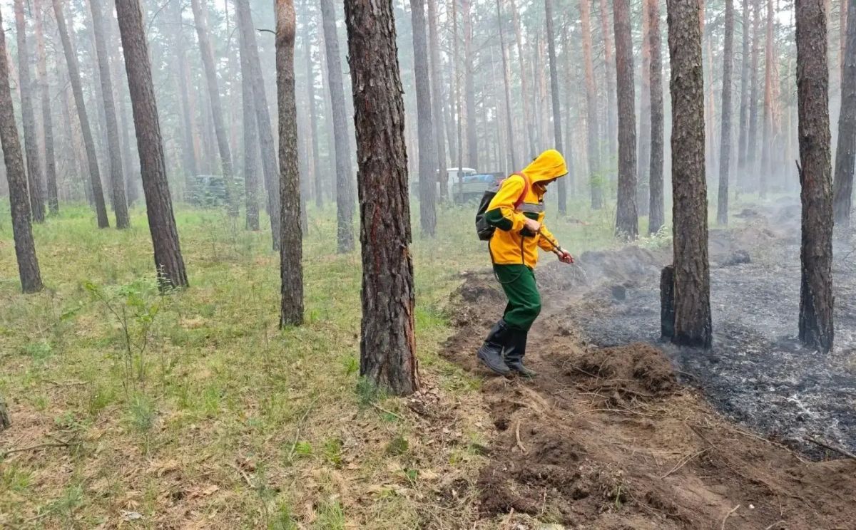 В окрестностях села Селиваниха пожарные Минусинска потушили лесной пожар В окрестностях села Селиваниха пожарные Минусинска потушили лесной пожар