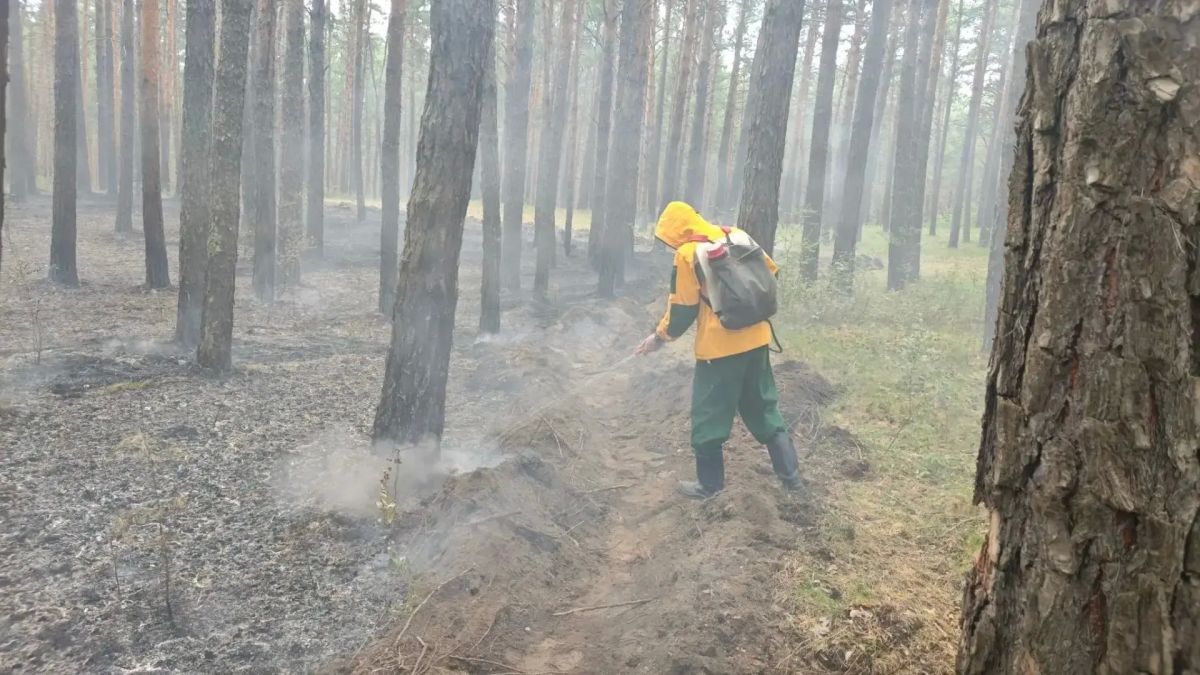 В окрестностях села Селиваниха пожарные Минусинска потушили лесной пожар В окрестностях села Селиваниха пожарные Минусинска потушили лесной пожар