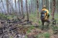 Площадь лесных пожаров в Красноярском крае продолжает расти