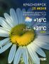 ������ �� �������. ���� +31, ��������� �����, ����� ��� � MAX | Telegram | �� | ����