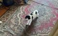 �� ������� ��� ������ 10 ���� ������ � �������� ��������