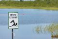� ������� �� ����������� ������� ������ �������
