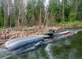 В реке Агул обнаружено тело мужчины, который пропал вместе с супругой во время сплава