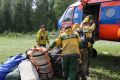 В Красноярском крае сократилось количество лесных пожаров