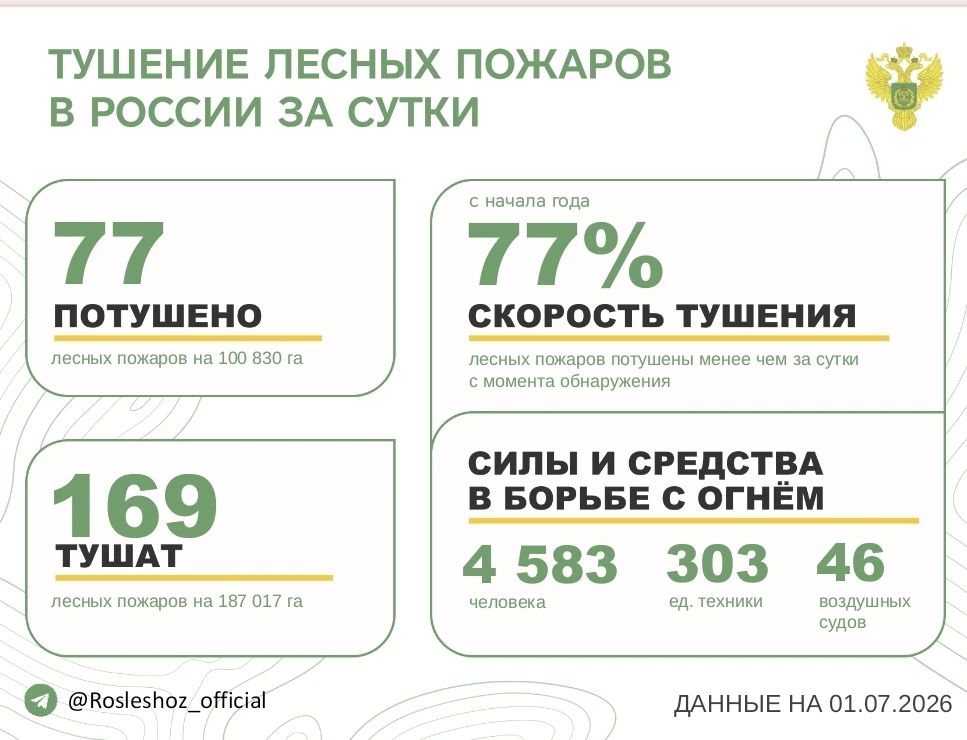 За прошедшие сутки в 22 регионах России потушили 77 лесных пожаров