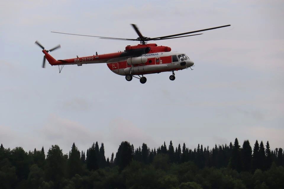 Площадь лесных пожаров в Красноярском крае уменьшилась до 135,8 тысячи га