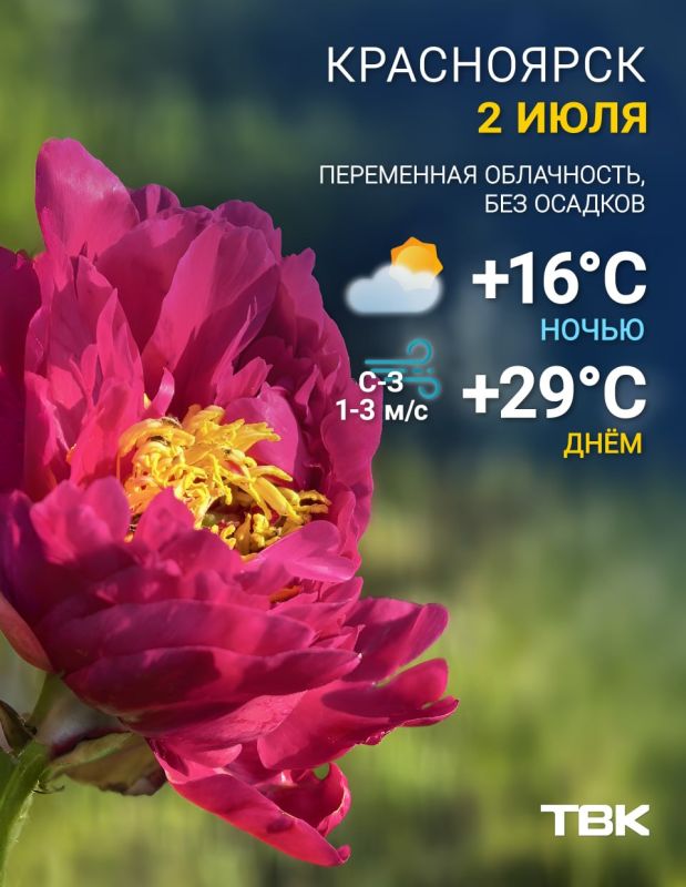 Погода на 2 июля. ТВК в MAX | Telegram | ВК | Буст