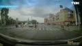 Самое милое на сегодня – красноярцы помогают уточкам перейти дорогу