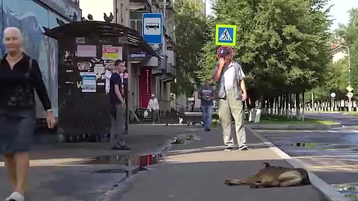 «Хоспис – это не дом смерти, каждый человек должен достойно доживать свою жизнь»