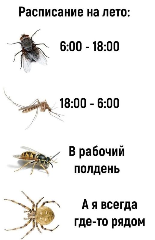 Ура, пятница, вечер!. Уже решили, как проведёте эти два дня? Говорят, лучшие выходные — это смена обстановки Ура, пятница, вечер!. Уже решили, как проведёте эти два дня? Говорят, лучшие выходные — это смена обстановки