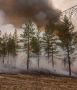 В Красноярском крае ввели режим повышенной готовности для предупреждения ЧС из-за лесных пожаров