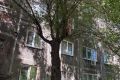 Житель Красноярска выпрыгнул из окна и повис на дереве