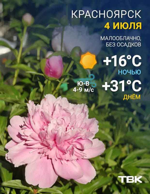 Погода на сегодня