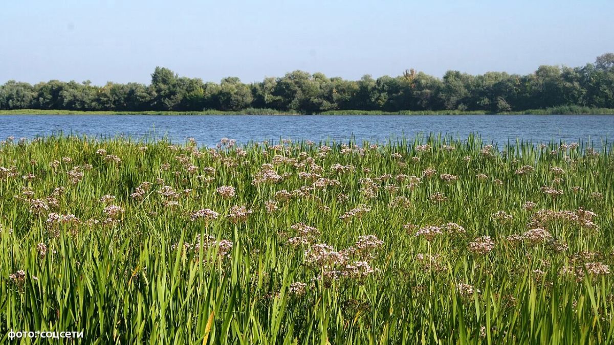 Школьника унесло течением во время рыбалки в Астраханской области