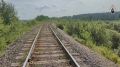 В Красноярском крае найдено тело пятилетней девочки, пропавшей с матерью