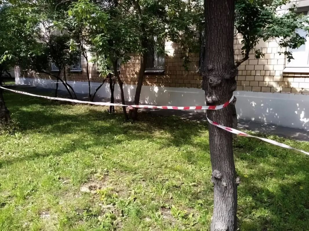 Пьяная мать бросила грудного ребёнка в траве в Башкирии