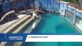 В красноярском парке флоры и фауны «Роев ручей» помогают животным пережить жару