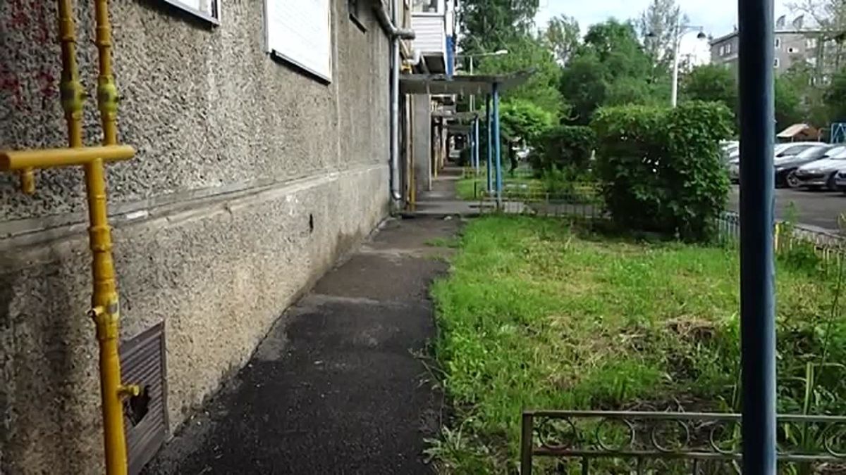 В КРАСНОЯРСКЕ ВВЕЛИ ПЕРВЫЙ ЗА ДВА ГОДА КАРАНТИН ПО БЕШЕНСТВУ