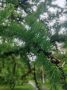 ������ ����!