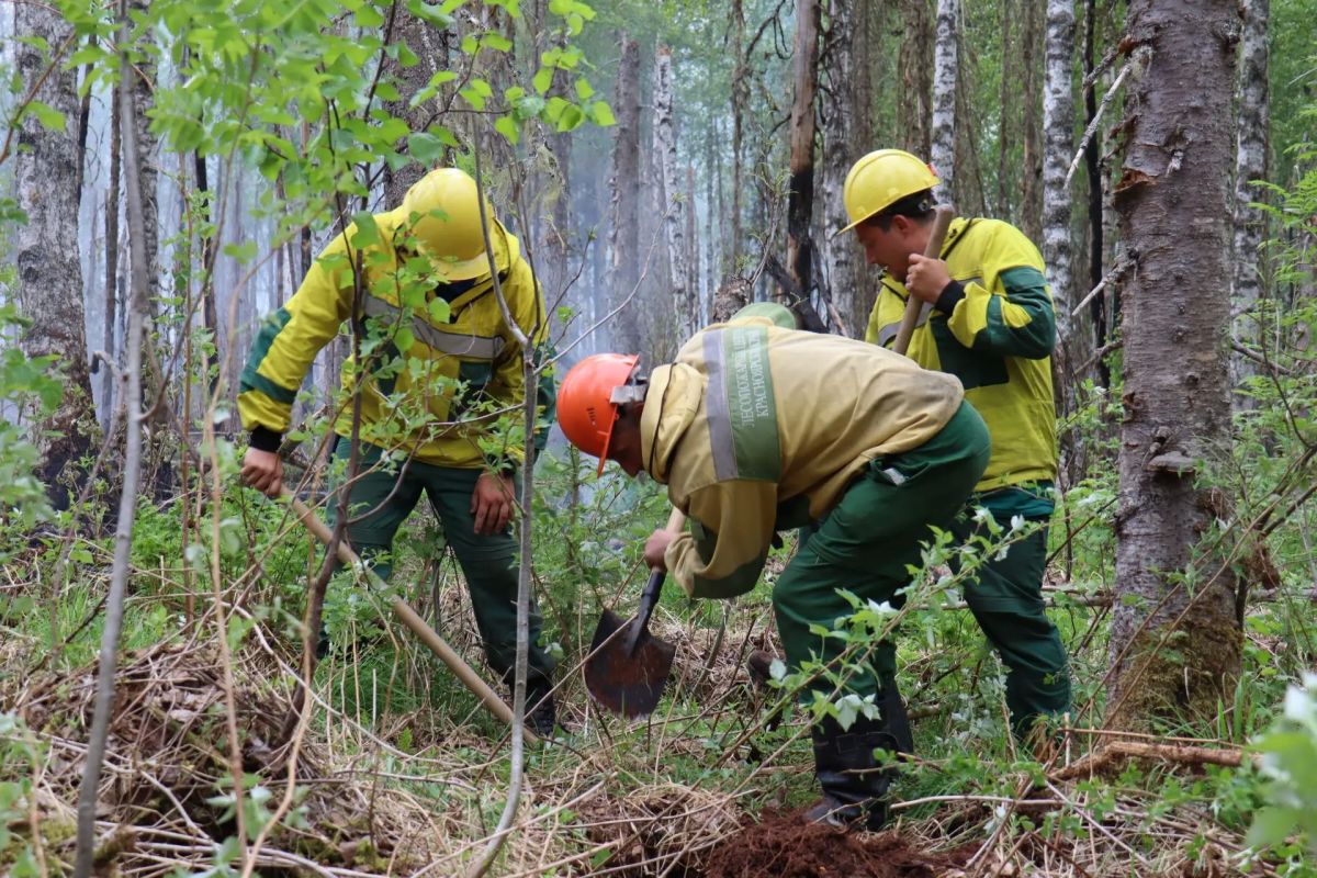 За минувшие выходные в регионе потушили 11 лесных пожаров на площади 39,2 тыс