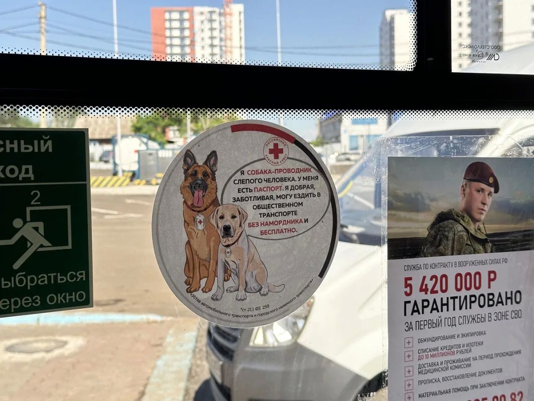 В 50 новых газомоторных автобусах у мест для маломобильных пассажиров разместили информационные наклейки