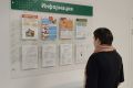 В Красноярском крае в 2025 году было зафиксировано 23 146 новых случаев заболевания ожирением среди населения