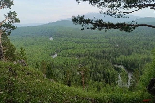 Сгинули в тайге. Какие тайны открыл Кутурчин, где пропала семья Усольцевых Сгинули в тайге. Какие тайны открыл Кутурчин, где пропала семья Усольцевых