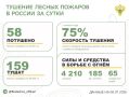 �� ��������� ����� � 14 �������� ������ �������� 58 ������ �������