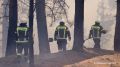 Площадь лесных пожаров в Красноярском крае за сутки сократилась на 17 тыс
