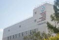 Жизнь после резкого торможения: в Красноярске прокуратура помогла пенсионерке получить компенсацию после ДТП