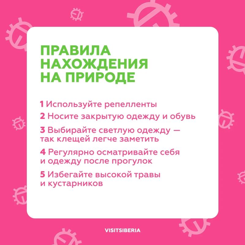 Продолжаем плановую обработку объектов ТИЦ Красноярского края от клещей Продолжаем плановую обработку объектов ТИЦ Красноярского края от клещей