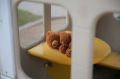 Следователи возбудили уголовное дело после избиения 7-летней девочки в лагере Красноярска
