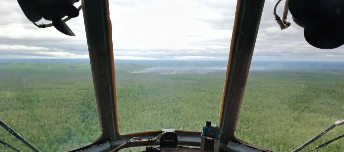 Лесопожарную группировку в Туруханском округе существенно усилили за счет лесных пожарных, которых передислоцировали с ликвидированных пожаров в Енисейском округе Лесопожарную группировку в Туруханском округе существенно усилили за счет лесных пожарных, которых передислоцировали с ликвидированных пожаров в Енисейском округе