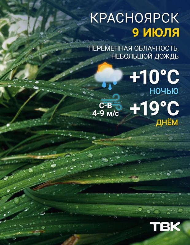 Погода на 9 июля. ТВК в MAX | Telegram | ВК | Буст