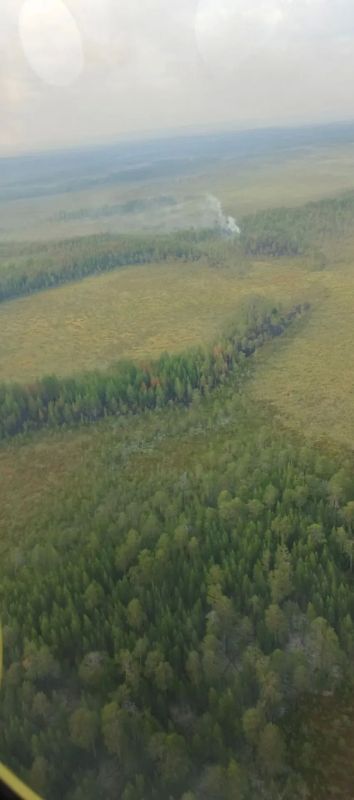 Лесопожарную группировку в Туруханском округе существенно усилили за счет лесных пожарных, которых передислоцировали с ликвидированных пожаров в Енисейском округе Лесопожарную группировку в Туруханском округе существенно усилили за счет лесных пожарных, которых передислоцировали с ликвидированных пожаров в Енисейском округе