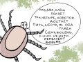 ������ ������ ���� � ������������ ���� �������� ������������ ����������