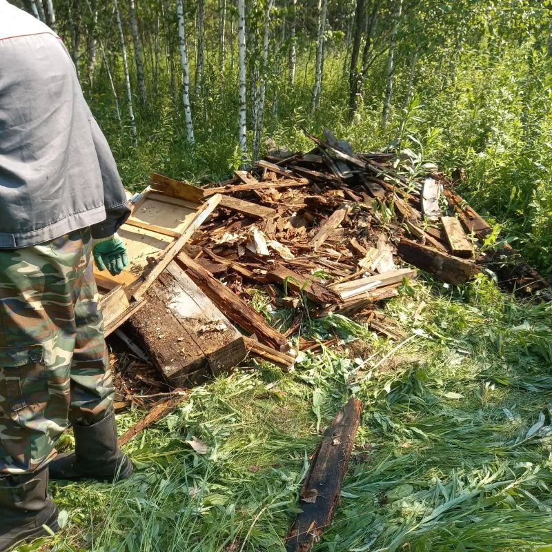 В крае продолжают ликвидировать свалки на территории государственного лесного фонда В крае продолжают ликвидировать свалки на территории государственного лесного фонда