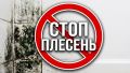 Как навсегда избавиться от черной плесени в квартире