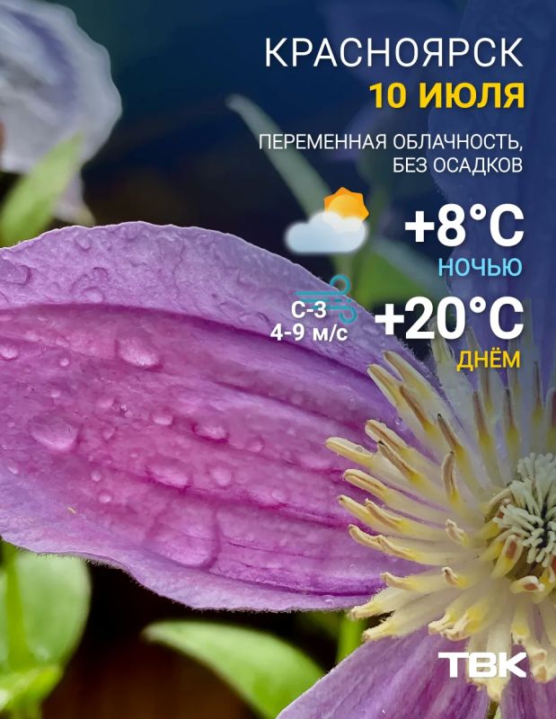 Погода на сегодня